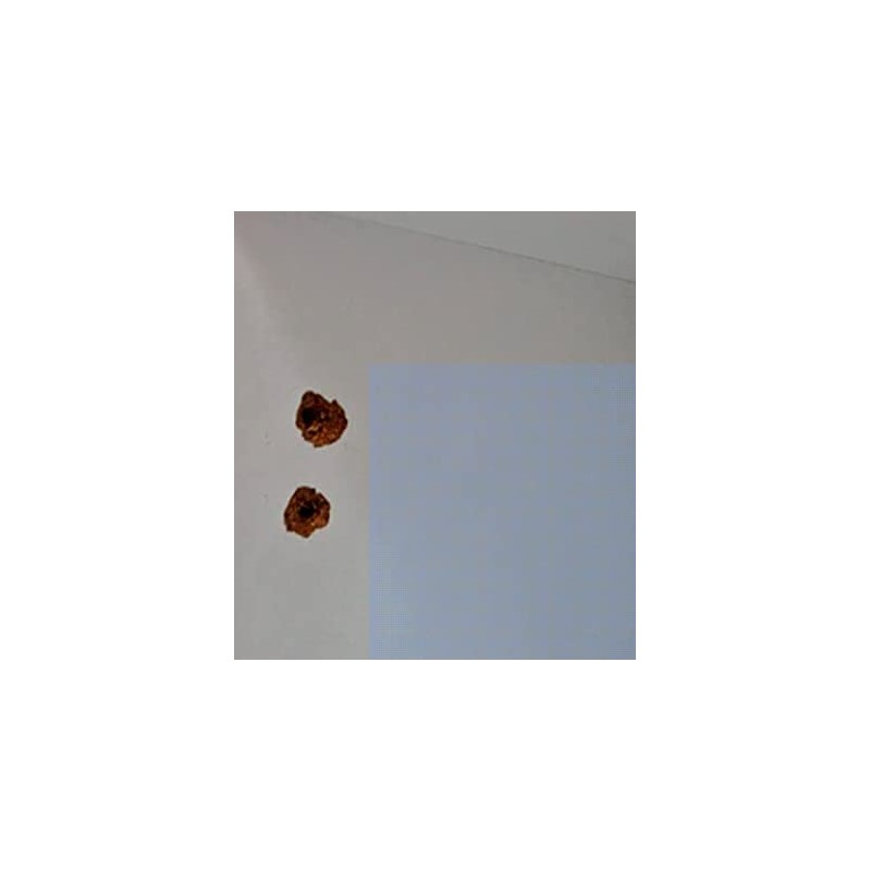 BSM Marketing Kitchen Cupboard Door Hinge Repair Kit Includes Plates