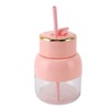 Portable Blender 800ml Capacity Electric Portable Juice Cup USB Rechargeable