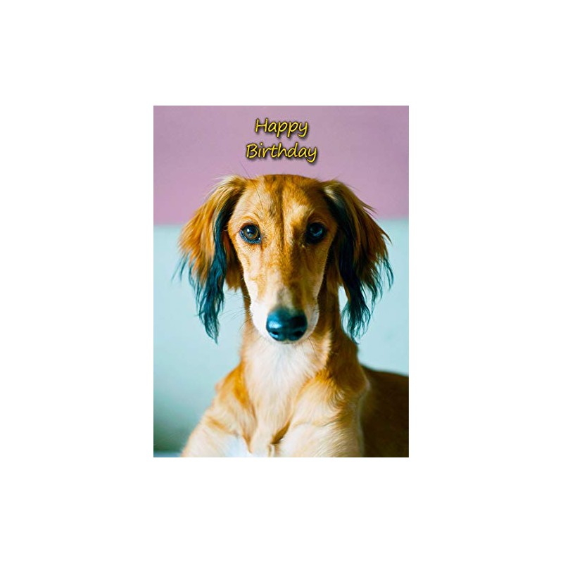 Saluki Dog Birthday Card