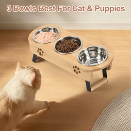 CILXGQLN Elevated Cat Bowls, 2 Height Raised Cat Food Bowl for Cats Small, Tilted Elevated Bowl Raised Pet Bowl with 3 Stainless Steel Bowls