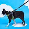 Gooby Escape Free Memory Foam Harness - Green, Small -
