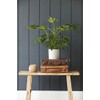 Burgon & Ball Tuscany Ceramic Indoor Planter - Pale Grey,