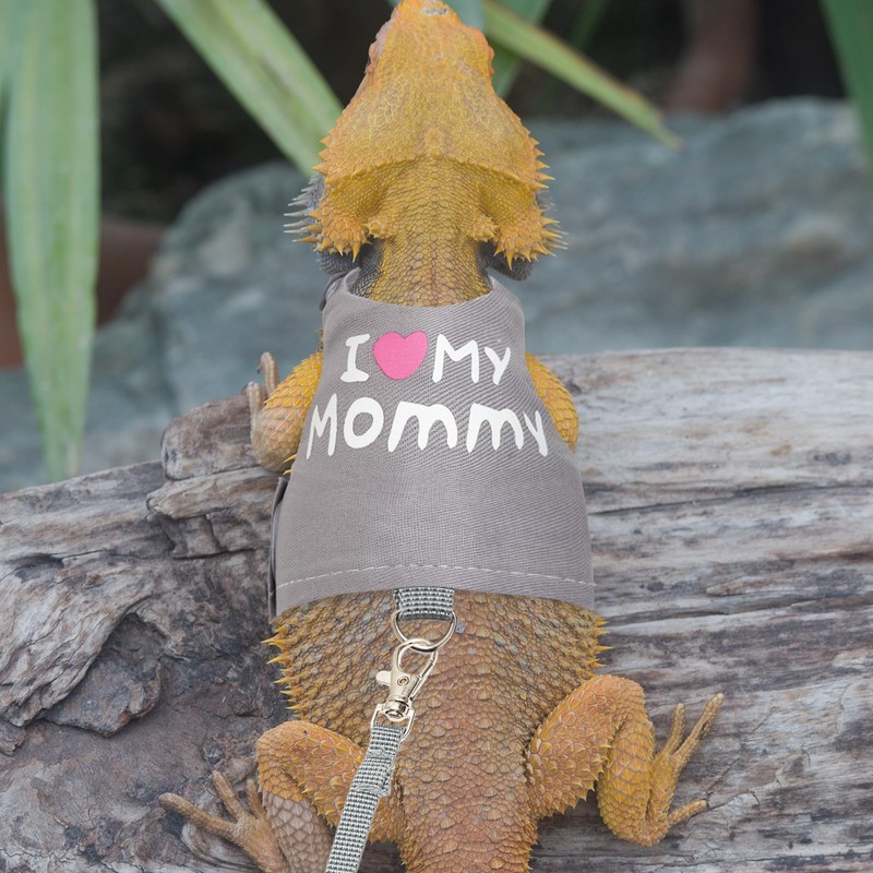CUSOZWO Bearded Dragon Harness and Leash Set - Cute Lizard