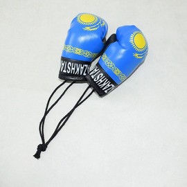 Joayuezo 1 Pair Mini Boxing Gloves Hang Mini Boxing Gloves for Car Mirror Keychain Ornament Car Decoration Accessories for Men and Women (Kazakhstan)