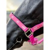 Horse Headcollar and Lead Rope Set, Pink with Horse Print