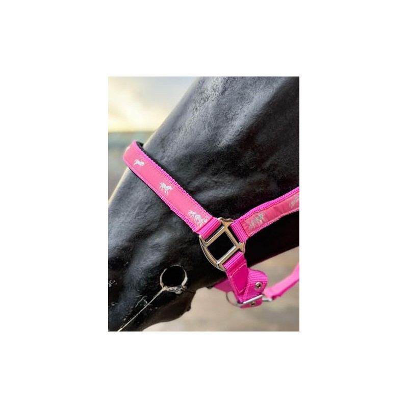 Horse Headcollar and Lead Rope Set, Pink with Horse Print