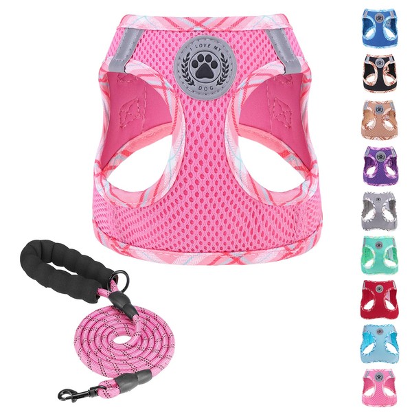 BEAUTYZOO Dog Harness and Leash Set for Small Medium Dogs,No