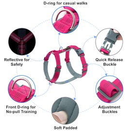 Plutus Pet No Pull Dog Harness, Adjustable Nylon Harness with Soft Padding, Reflective and Heavy Duty Dog Harness for Small, Medium, Large Dogs(Hot Pink, XS)
