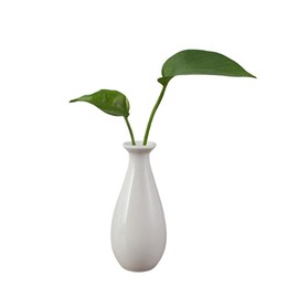 White Ceramics Mini Bud Vases Small Flower Vase Mini Flower Vase Vintage Decorative Vase for Home Decor Wedding Party Decorations Centerpieces