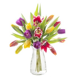 KaBloom PRIME NEXT DAY DELIVERY - Fall Collection - Bouquet of 20 Assorted Tulips with Vase Gift for Birthday, Sympathy, Anniversary, Get Well, Thank You, Valentine, Mother’s Day Flowers