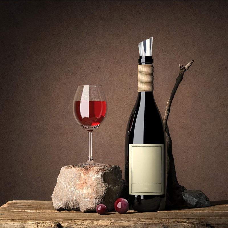 CAISYE Pack of 60 Wine Pourers Plates, Drip-Free Wine Pourer,