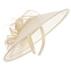 Seeberger Crinol Fascinator with Feathers Hair Accessories Headdress Occasion Hat,