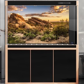 Desert Mountain Reptile Tank Background Sunset Rock Mountain Gobi Aquarium Background Blue Sky Gobi Barren Thorns Mountain Reptile Enclosure Backgrounds Cactus Mountain Fish Tank Backgrounds 36x18in