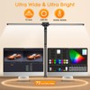 Syrinx Desk Lamp, Architect Desk Lamps for Home Office with