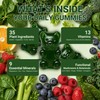 Greens Gummies, Green Supplements with Multivitamins & Minerals | Sugar