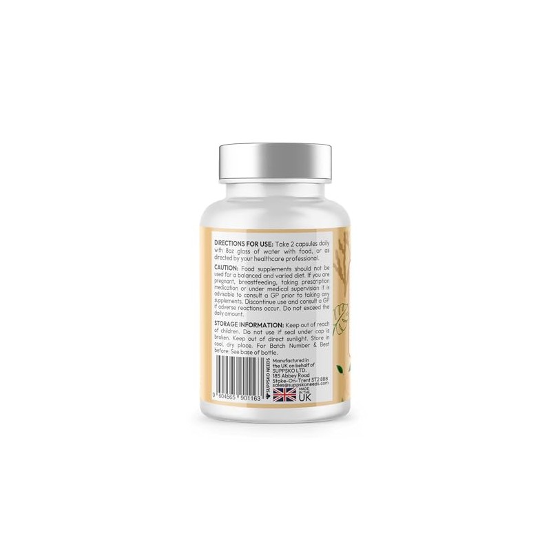 OrexiBurn 60 Capsules All Natural Supplement GMO Free Advanced Formula