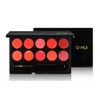 Ohui Rough Real Lip Color Pallette 10 Color US Free