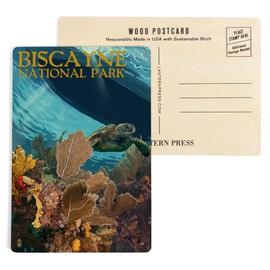 Biscayne National Park, Florida, Sea Turtle and Coral, Painterly Series (4x6 Birch Wood Postcards, 2-Pack Stationary, Rustic Home Wall Decor)