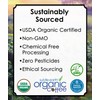 2LB Subtle Earth Organic Decaf - Swiss Water Process Decaf