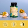 Vegavero Hyaluronic Acid Supplements | NO Additives, Lab-Tested | High