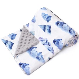 New Born Baby Boy Blanket Double Layer Fuzzy Nursery Toddler Blankets Soft Minky Daycare Baby Boys Blanket with Dotted Backing for Baby Shower Birthday Gift 30 x 40 Inch (Mountain, 1)