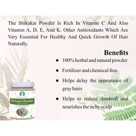 AYURVEDASHREE Shikakai Powder 100 Gm | Acacia concinna Fruit Pods Powder | Natural Hair Cleanser & Conditioner | Vegan | Non GMO | Vegan