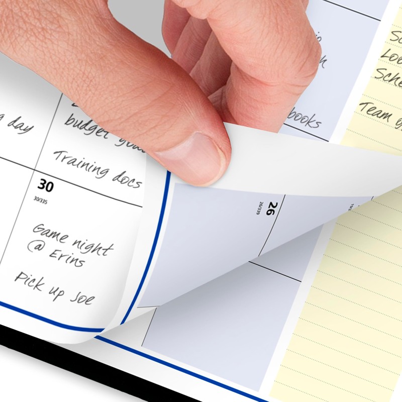 AT-A-GLANCE 2026 Appointment Book Planner, Monthly, 7" x 8-3/4", Medium,