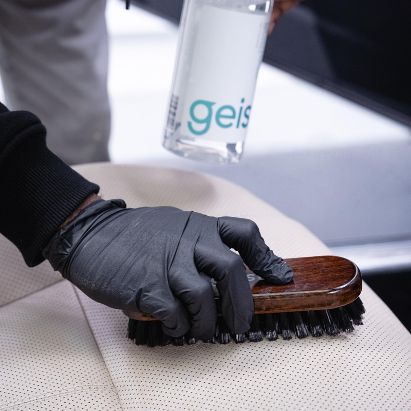 Geist. Rapid Cleaner for Leather and Vinyl (Cleaner + Brush