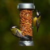 Jacobi Jayne Ring-Pull Click Small Peanut Feeder, zinc Bird