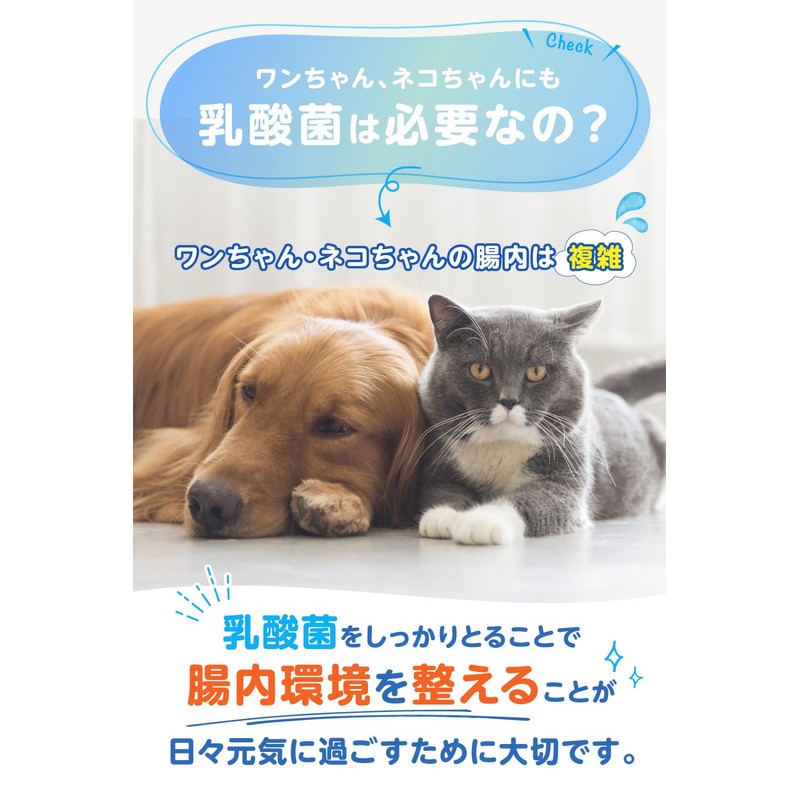 PETLINKMORE Lactic Acid Bacteria & Plant Enzymes for Dogs &