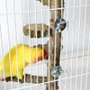 La La Pet Natural Wood Bird Perch Stand Parrot Standing