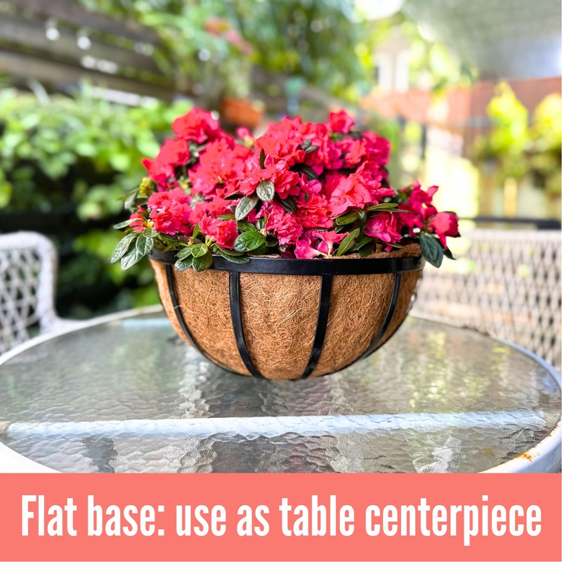 LaLaGreen Outdoor Hanging Baskets for Plants (2 Pack, 20 Inch)