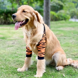 BT Bear Surgical Recovery Sleeve for Front Legs, Prevent Licking Wounds, Elbow Brace, Protective Dogs, Hip Joint Protection, Recovery Sleeves (Tiger, L)