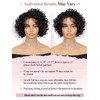 FANCEE Braid Pixie Wig Double Full Lace Curly Box Braided