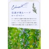 Argital Relaxing Foot Cream 2.5 fl oz (75 ml)