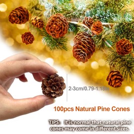 KY-Tech Christmas Pine Cones 100 Pcs Mini Pine Cones for Decor Size 2-3 cm Pine Cones for Christmas Decorations Pine Cone for Winter Decorations Add a Touch of Natural Rustic Charm to Your Home Decor
