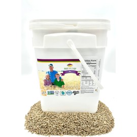 Rye Berries, 20lb Bucket with Mylar and Oxygen Absorber, Non GMO, No Glyphosate Residue, Lab Verified Chemical Free, Premium Packaging 25 year shelf life, Kosher, Utahs Own, Great for Baking and Brewing, High Trust / Employee Owned Seller