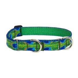 LupinePet Originals - Collar Martingale de plumas de cola de 1 pulgada de 15 a 22 pulgadas para perros medianos y grandes