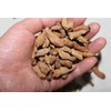 Savory Roasted Macmundong Tea 200g from Miryang 200g Roasted Macmundong