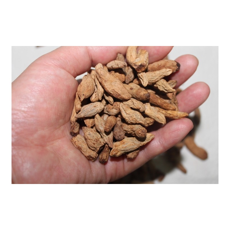 Savory Roasted Macmundong Tea 200g from Miryang 200g Roasted Macmundong