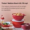 Tupperware Brand Thatsa Medium Prep & Storage Bowl, 4.5L (19