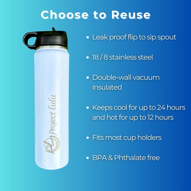 Project Lulu Insulated Stainless Steel Water Bottle Handle Flip Top