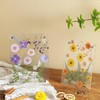 HZIYOU Acrylic Picture Frame, Pressed Flower Frame Handmade, Frameless Floating