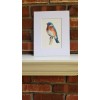 Bluebird. Print of an original. 5x7" with white mat 8x10"