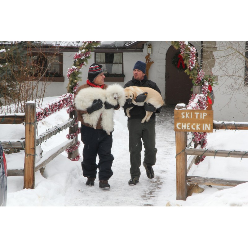 Ein Hund rettet die Weihnachtsferien