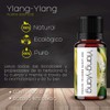 VIDA SCENTS OLEOS Aceite Esencial de Ylang-Ylang 10 ML 100%