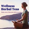 FullChea - Blueberry Tea Bags, 50 Teabags - Premium Blueberry