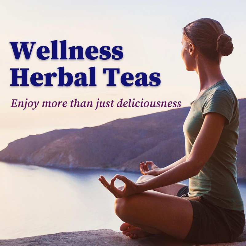 FullChea - Blueberry Tea Bags, 50 Teabags - Premium Blueberry