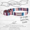 Lucky Love Dog Martingale Dog Collar - Adjustable, No-Slip, Comfortable,