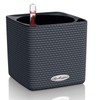 Lechuza Cube Colour 14 13384 Herb Pot, High-Quality Plastic, Includes